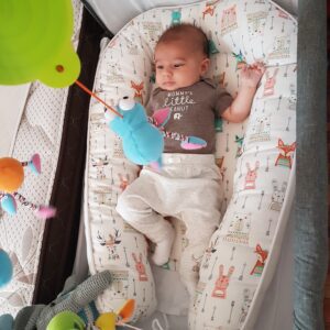 Nido de contención con base