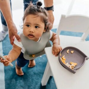 Alimentación